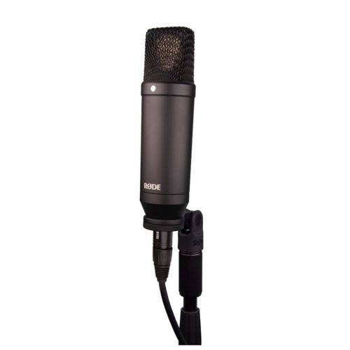 NT1 MIC STAND