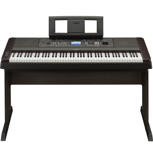 DGX 650 3