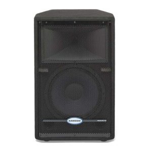 SAMSON RS12HD
