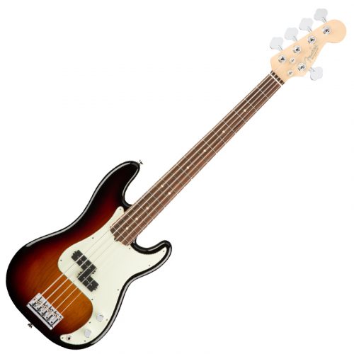 Fender American Professional Precision Bass V 5-String Guitar 1