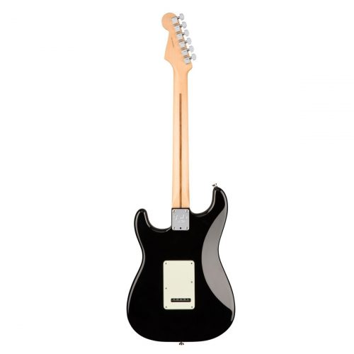 Fender American Professional Stratocaster Guitar - Maple, Black Finish Back