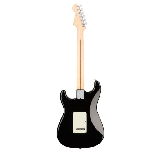 Fender American Professional Stratocaster HH Shawbucker Electric Guitar - Rosewood, Black Finish Back