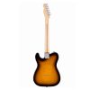 Fender American Professional Telecaster Electric Guitar - Maple, 2 Color Sunburst Finish Back