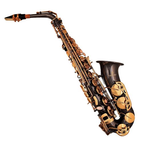 Kadence KXB Alto Saxophone 1