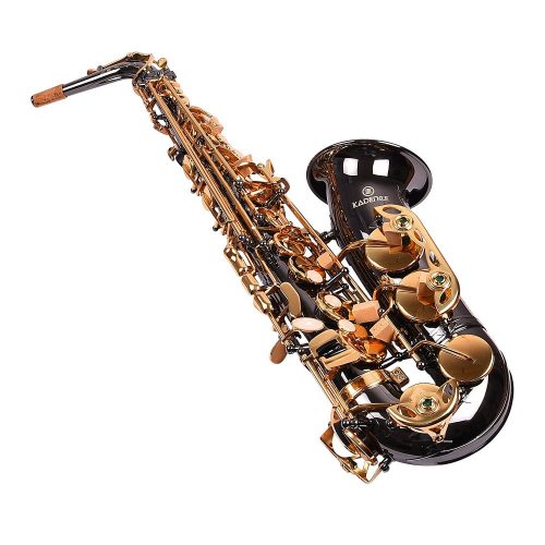 Kadence KXB Alto Saxophone 2