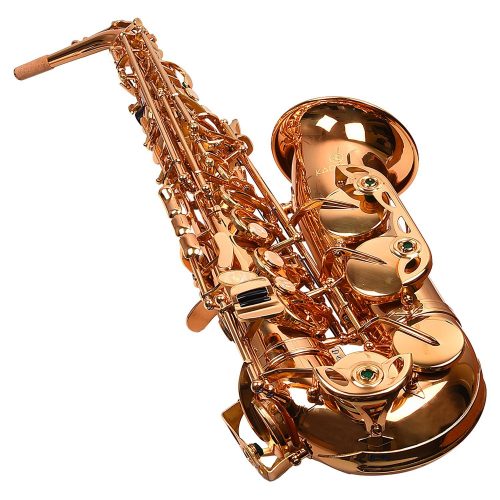 Kadence KXG Alto Saxophone 2