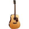 cort-gold-series-d6-dreadnought-acoustic-w-hardcas