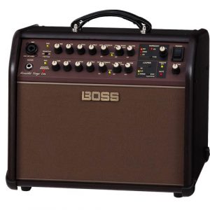 acoustic_singer_live