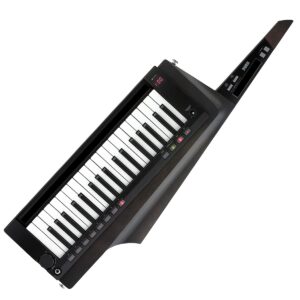 Korg RK 100S Keyboard Controller