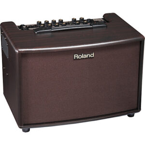 Roland AC60RW M Acoustic Guitar Amplifier
