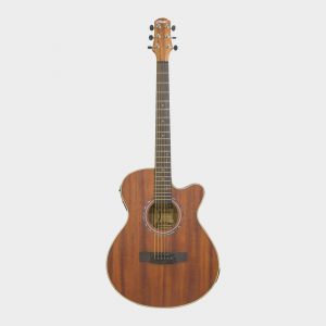 Hertz HZA7000 MGO Acoustic Guitar