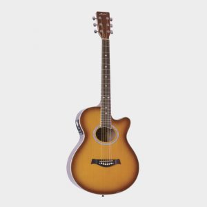 Hertz HZA7000 Acoustic Guitar TS