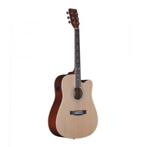 Hertz HZA9000 Acoustic Guitar
