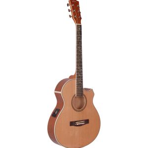 Hertz HZA4001ET Acoustic Guitar
