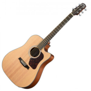 Walden, Acoustic Electric Guitar, Dreadnought w/Cutaway and Bag -Satin Natural D550CE/W