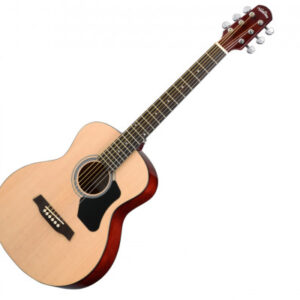Walden, Acoustic Guitar, Travel Size, with Bag Gloss Natural T350/W
