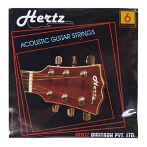 Hertz HZA 206SL Guitar String(Pack of 2)