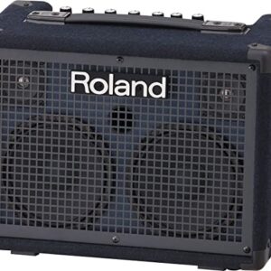 Roland KC220 Keyboard Amplifier