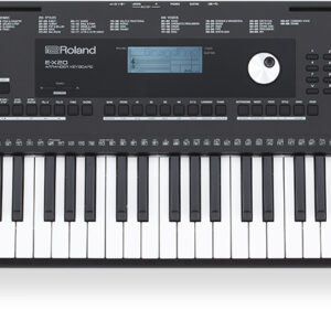 Roland EX20 Portable Keyboard