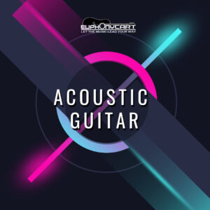 Acoustic Guitar