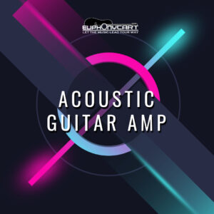 Acoustic Guitar Amplifier