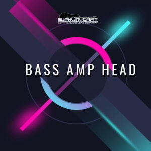 Bass Amp Head