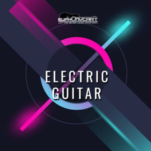 Electric Guitar