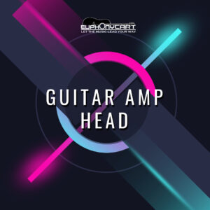 Guitar Amplifier Heads