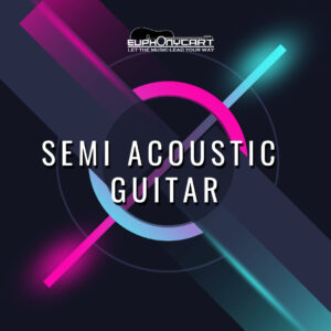 Semi Acoustic Guitar
